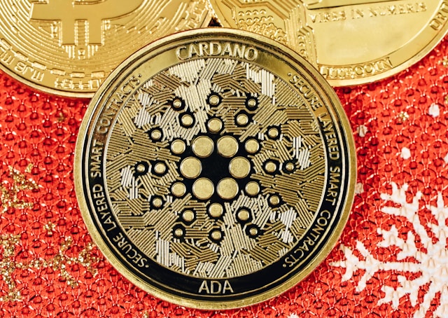 a cardano coin sitting on top of a red and gold background