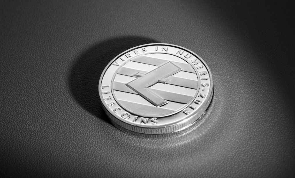 Close-Up Shot of a Litecoin