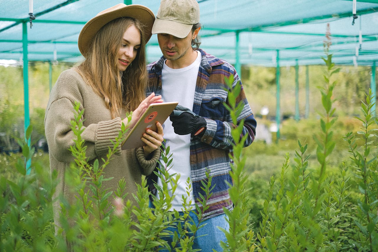 How IoT is Enhancing Agricultural Productivity